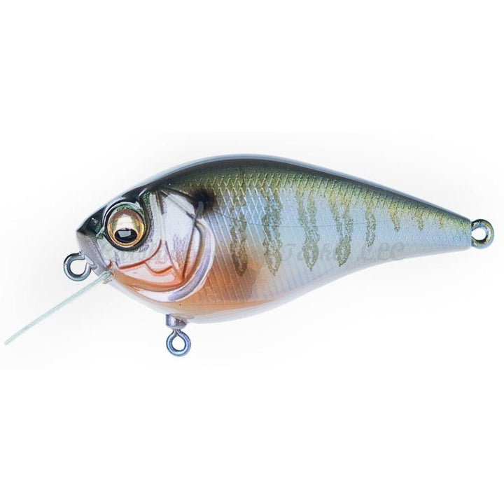 Megabass Knuckle LD Crankbaits - Chartreuse Dust-PM Fire Dust Tennessee-GG Megabass Kinkuro-Mat Tiger-M Sunshine Western Clown 2-PM Hot Gill-PM Setsuki Ayu-Sunshine Blue Back Chart 2 - Carolina Fishing Tackle LLC