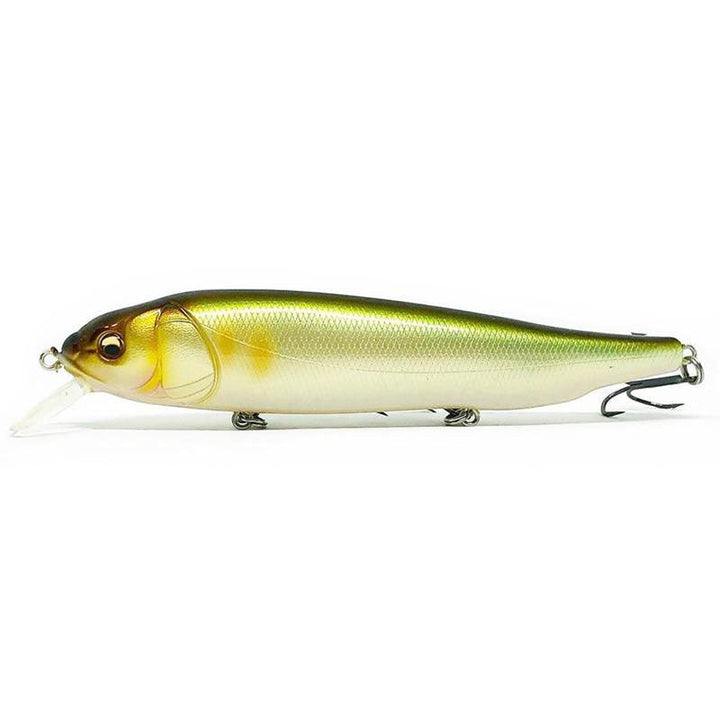 Megabass OG Roller Bait-Lates - Kumano Ayu-M Cosmic Shad-PM Carp-Wagin Honmoroko-Wagin Kawamutsu-Wagin Oikawa - Carolina Fishing Tackle LLC