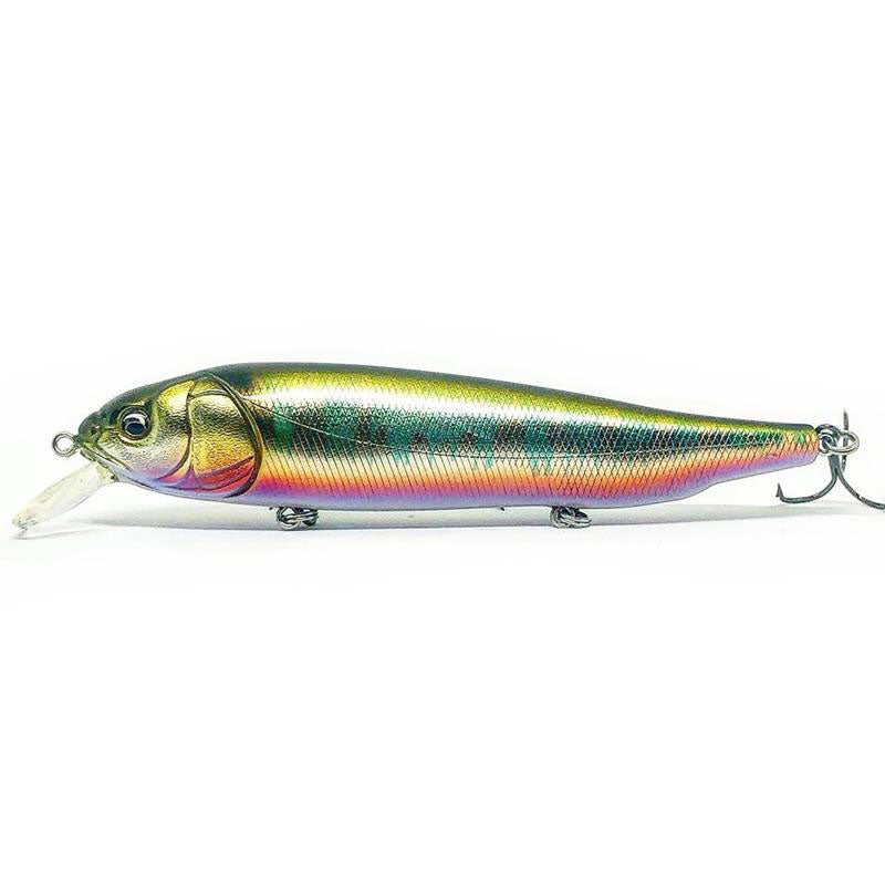Megabass OG Roller Bait-Lates - Kumano Ayu-M Cosmic Shad-PM Carp-Wagin Honmoroko-Wagin Kawamutsu-Wagin Oikawa - Carolina Fishing Tackle LLC