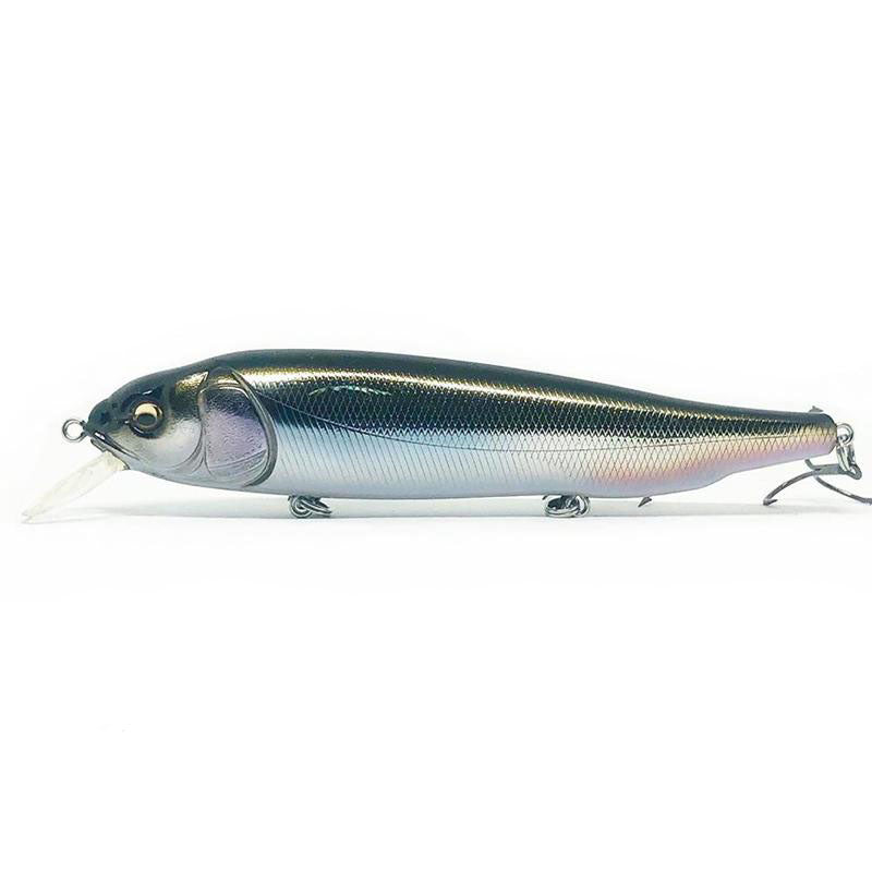 Megabass OG Roller Bait-Lates - Kumano Ayu-M Cosmic Shad-PM Carp-Wagin Honmoroko-Wagin Kawamutsu-Wagin Oikawa - Carolina Fishing Tackle LLC