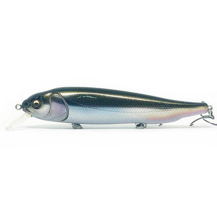 Megabass OG Roller Bait-Lates - Kumano Ayu-M Cosmic Shad-PM Carp-Wagin Honmoroko-Wagin Kawamutsu-Wagin Oikawa - Carolina Fishing Tackle LLC