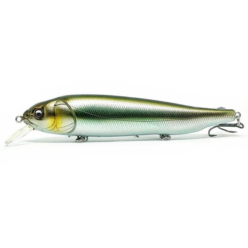 Megabass OG Roller Bait-Lates - Kumano Ayu-M Cosmic Shad-PM Carp-Wagin Honmoroko-Wagin Kawamutsu-Wagin Oikawa - Carolina Fishing Tackle LLC