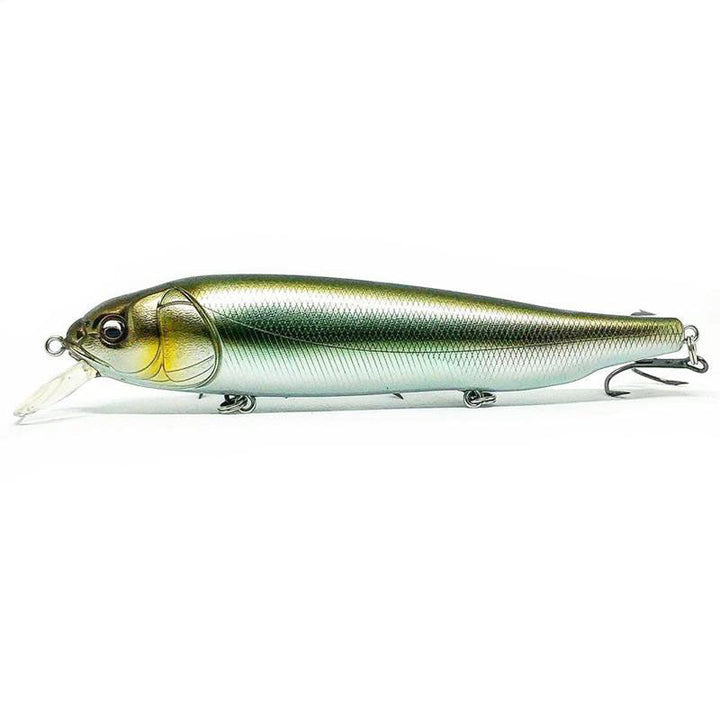 Megabass OG Roller Bait-Lates - Kumano Ayu-M Cosmic Shad-PM Carp-Wagin Honmoroko-Wagin Kawamutsu-Wagin Oikawa - Carolina Fishing Tackle LLC