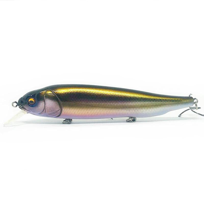 Megabass OG Roller Bait-Lates - Kumano Ayu-M Cosmic Shad-PM Carp-Wagin Honmoroko-Wagin Kawamutsu-Wagin Oikawa - Carolina Fishing Tackle LLC