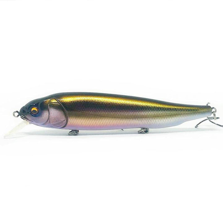 Megabass OG Roller Bait-Lates - Kumano Ayu-M Cosmic Shad-PM Carp-Wagin Honmoroko-Wagin Kawamutsu-Wagin Oikawa - Carolina Fishing Tackle LLC