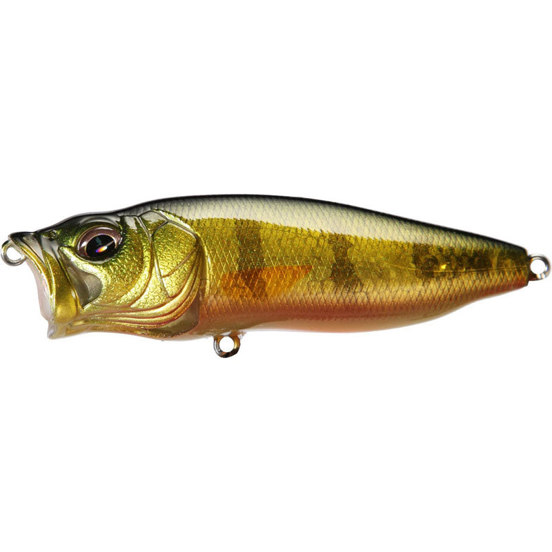 Megabass Popmax - Beniaka (Karajishi 2019)-Kogane (Karajishi 2019) - Carolina Fishing Tackle LLC