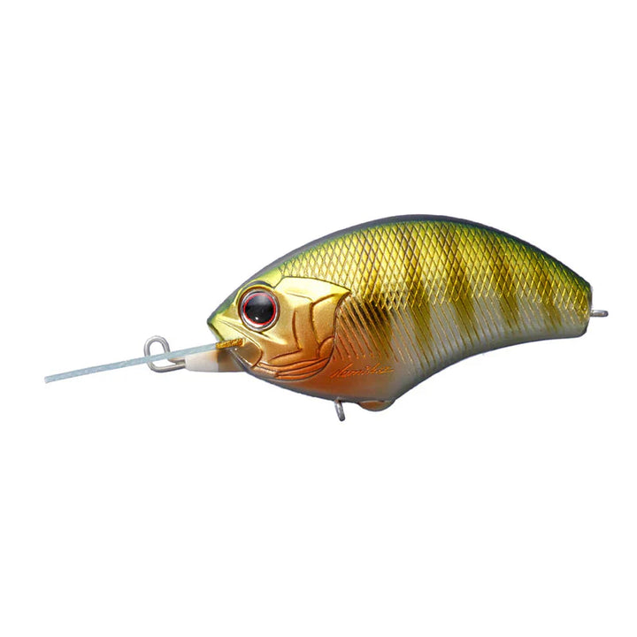 O.S.P Blitz MR Crankbaits (Japan Market) - #GH-45 Green Gill (JDM)-#P-05 Cosmo Black (JDM)-#T-04 Black Gold Ver.T (JDM) - Carolina Fishing Tackle LLC