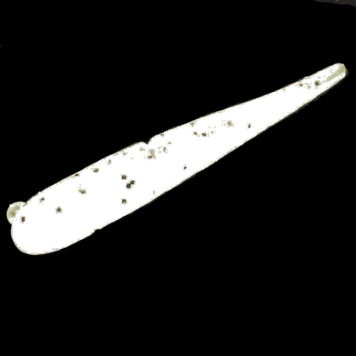 Ten Feet Under 3.6” Pretty Shad 6pk - #01 Red-#02 Black-#03 Oil-#04 Watermelon Pepper-#05 Green Pumpkin Pepper-#06 Smoke/Silver Flake-#07 Clear Pepper-#08 Cinnamon/Blue Flake - Carolina Fishing Tackle LLC